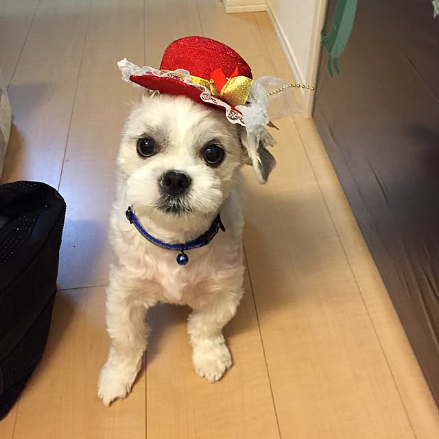 emiさんの実例写真