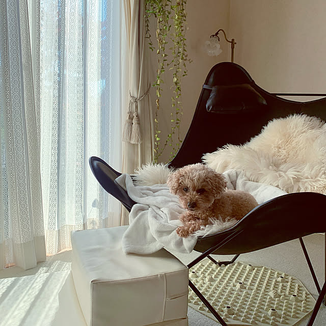 Momoさんの実例写真