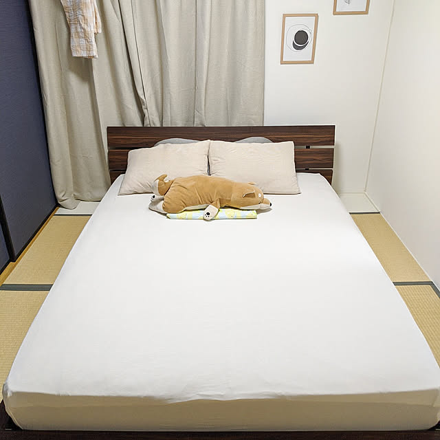 Shellaさんの実例写真