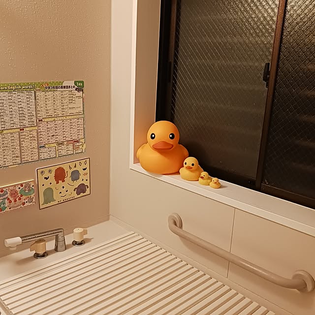 mizukingyoさんの実例写真