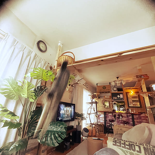 Mさんの部屋