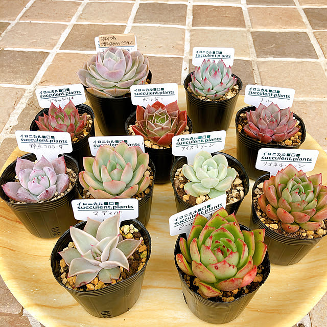yukiminさんの実例写真
