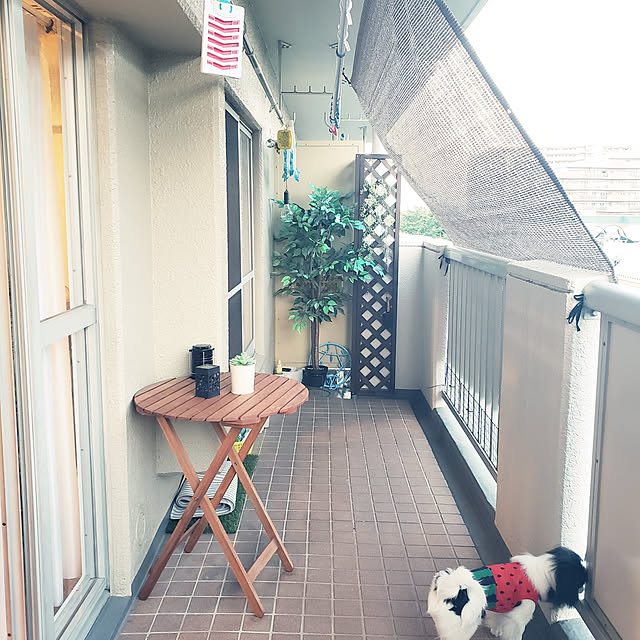 sanoaさんの実例写真