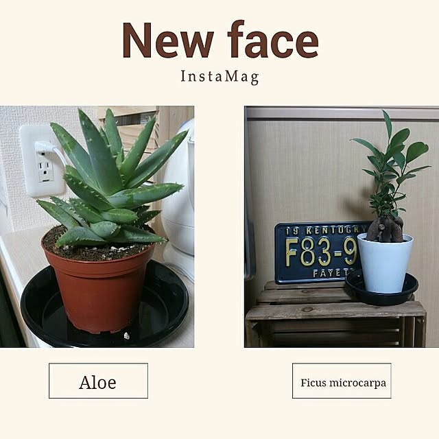 akhyさんの実例写真