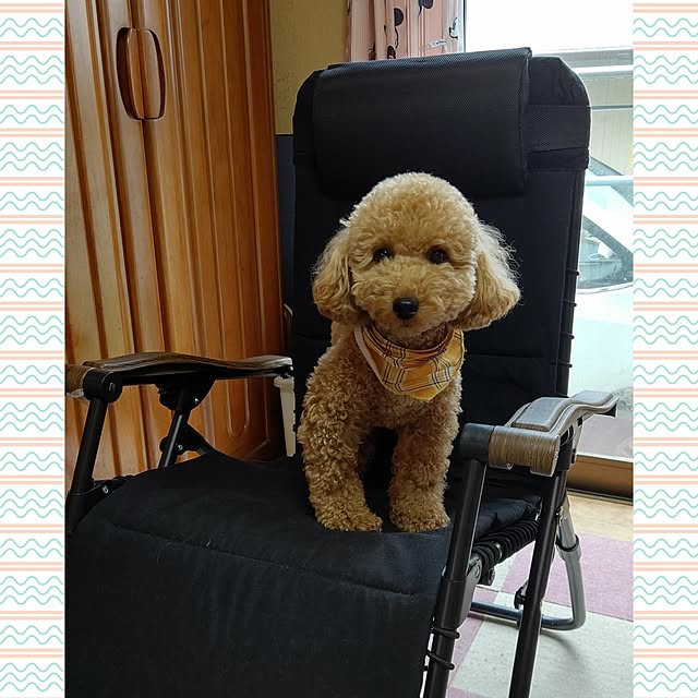 yumirinさんの部屋