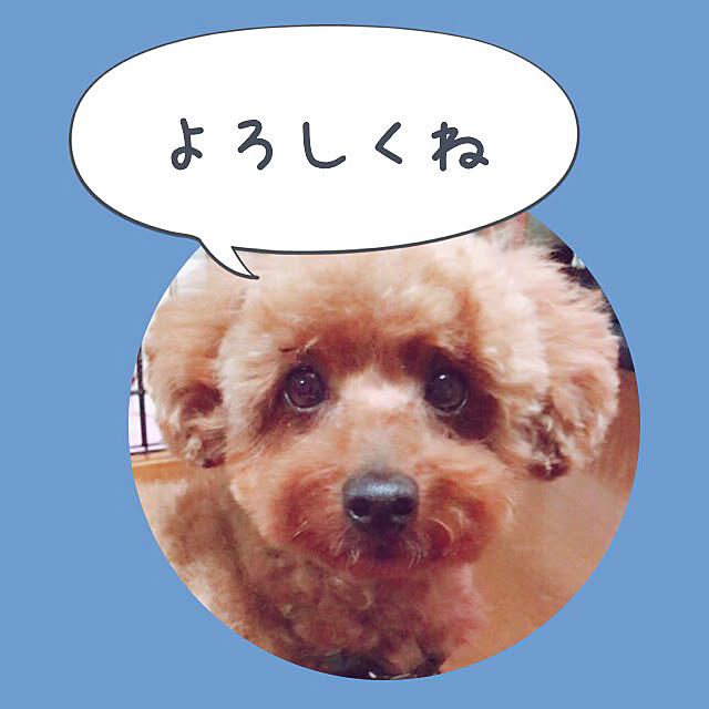 MIYUさんの実例写真