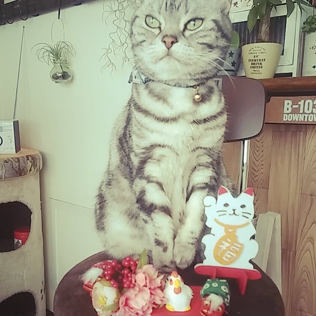 yumi0714さんの実例写真