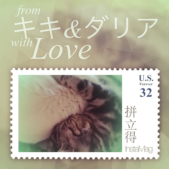 hiro_mashさんの実例写真