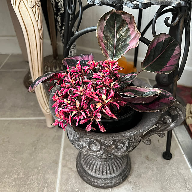 AYUKOさんの実例写真