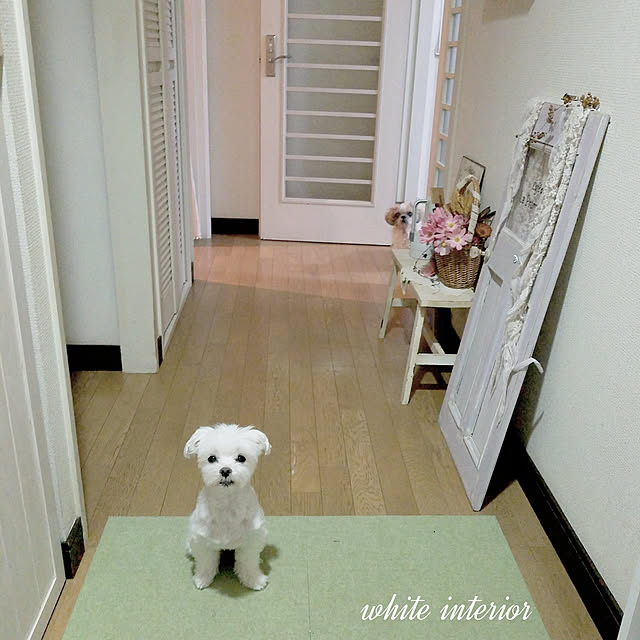 akiko.8さんの実例写真