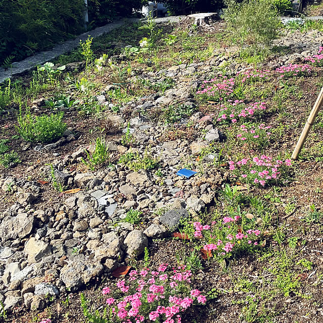 kabu10さんの部屋