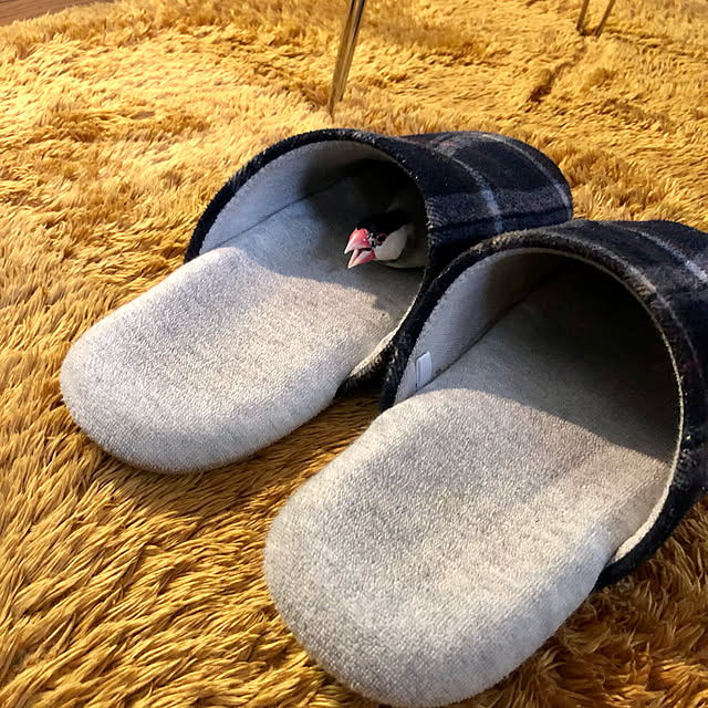 soramameさんの実例写真
