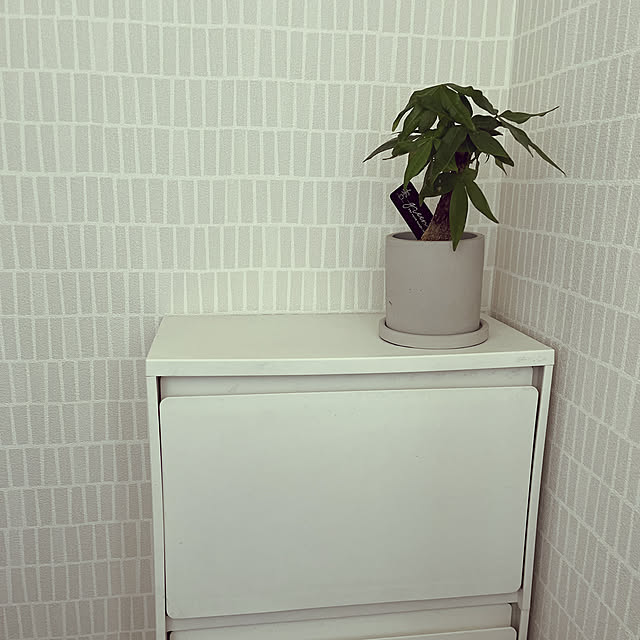 358joujouさんの実例写真