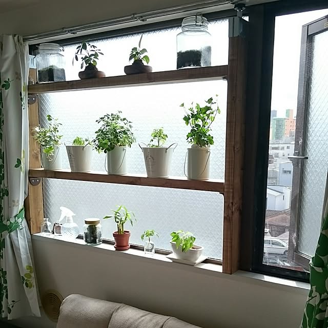 springcanolaさんの実例写真
