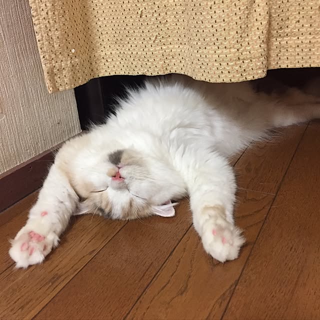 keibooさんの実例写真