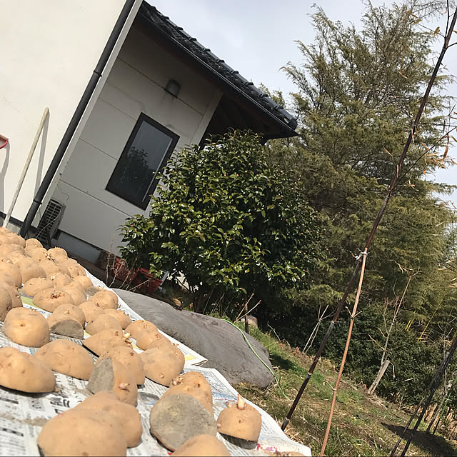 Nagakoさんの実例写真