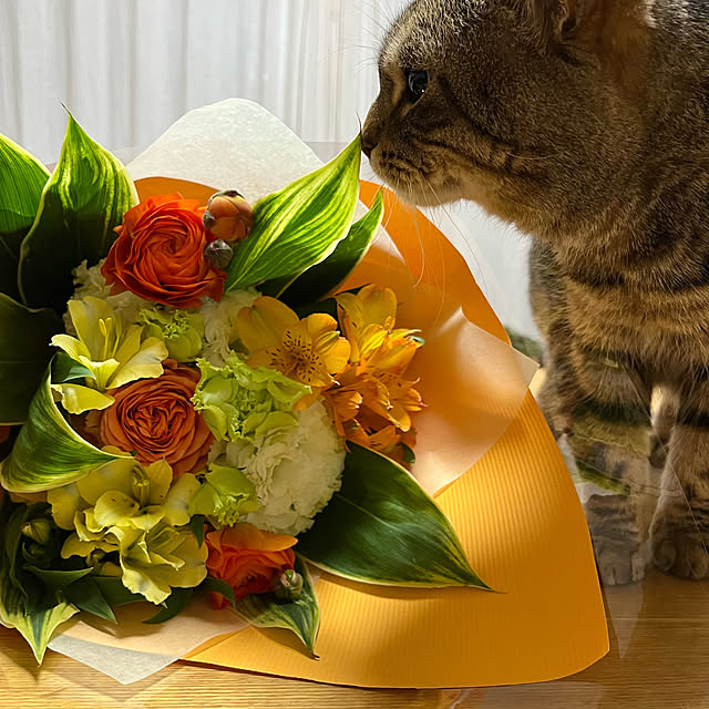 kuuさんの部屋