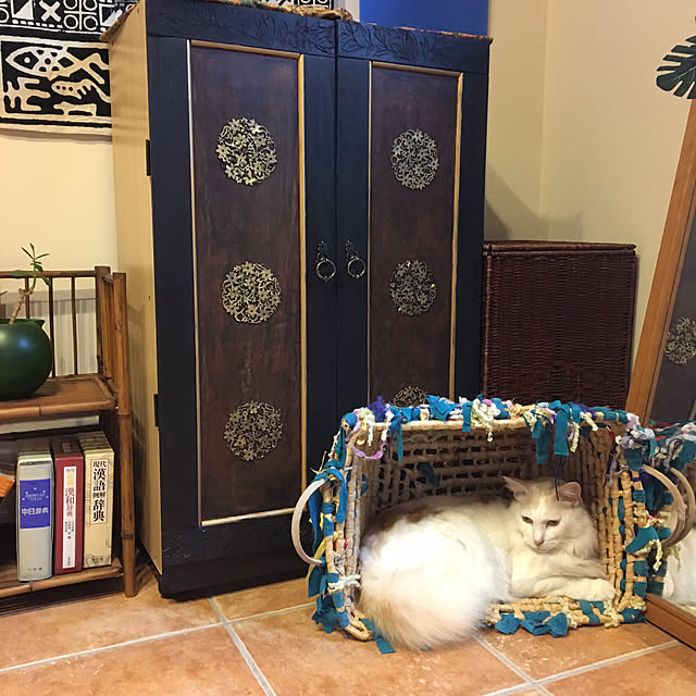 shigimiさんの実例写真