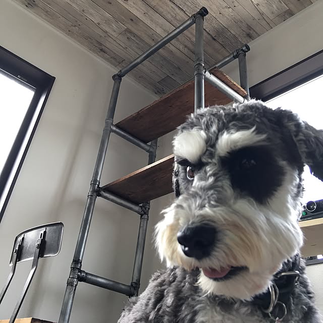 margoandcoさんの実例写真