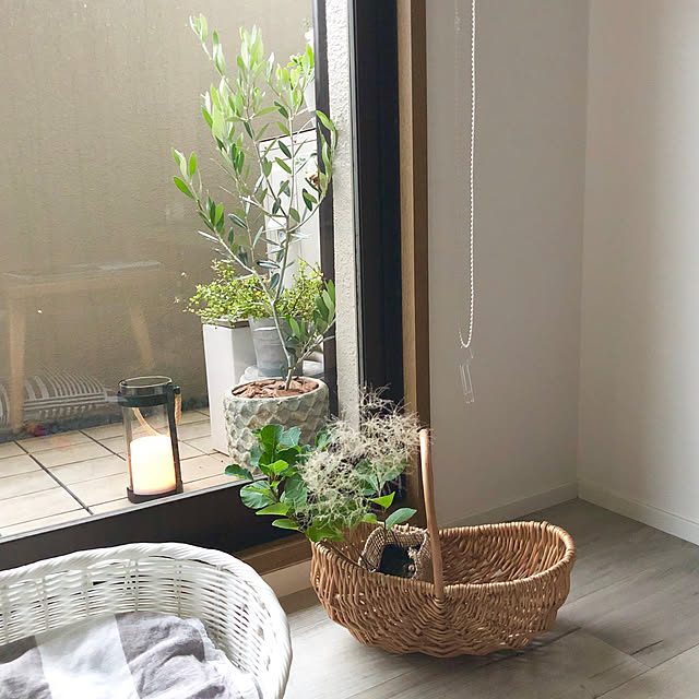 naomi426さんの実例写真