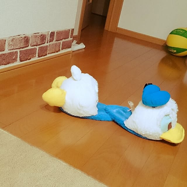 aikoさんの実例写真