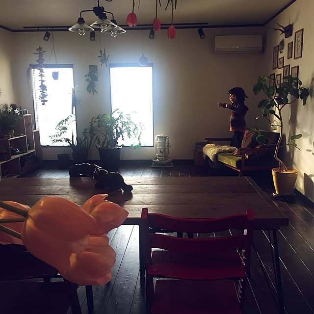 romimushiさんの実例写真