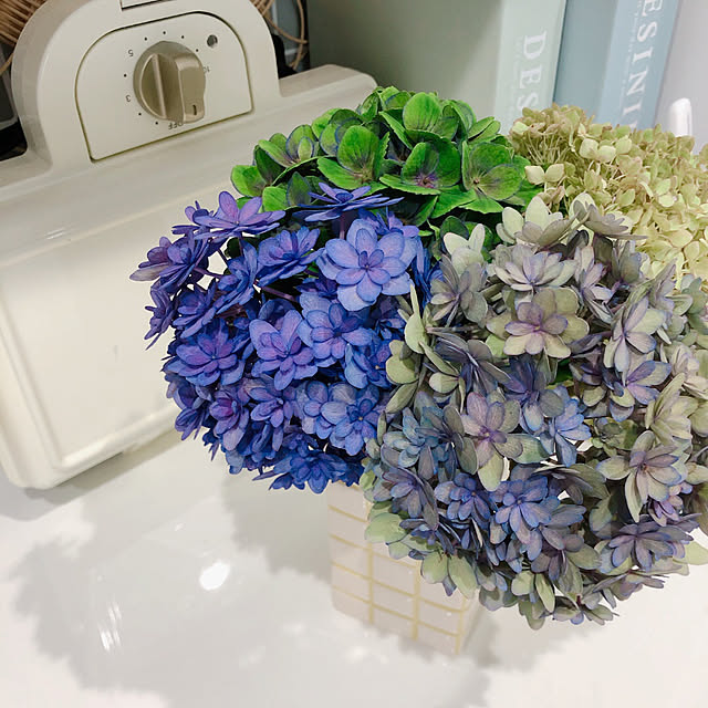 doremiさんの部屋