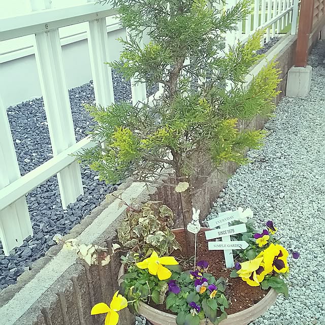 oliveさんの実例写真
