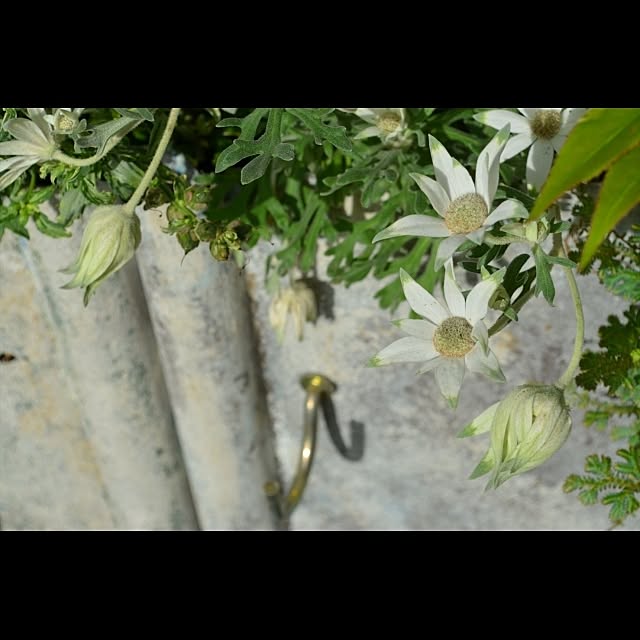 GreenWorksさんの実例写真