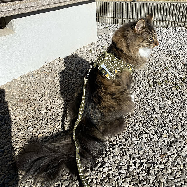 sh.0514さんの実例写真