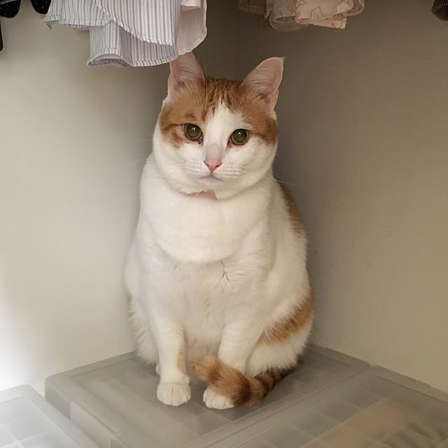 bikkeさんの実例写真