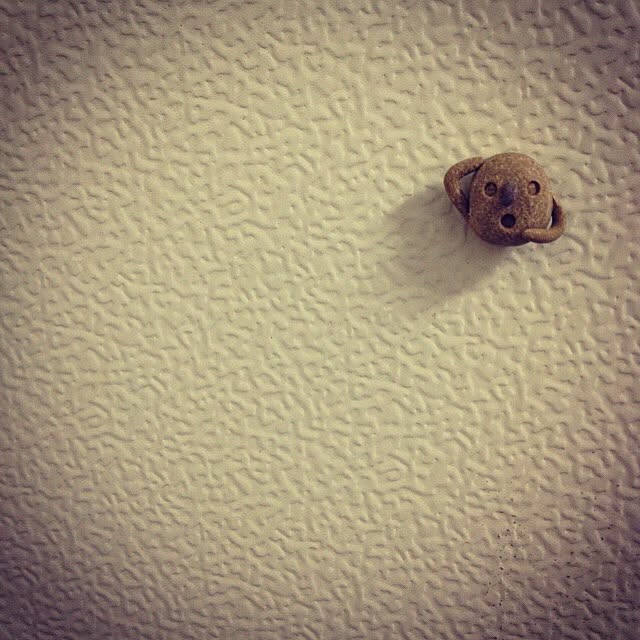 monoさんの実例写真