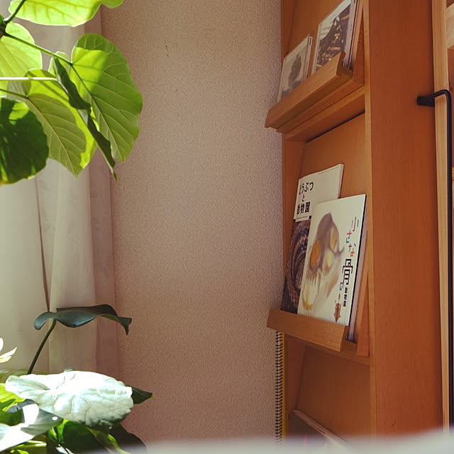Fujiさんの実例写真