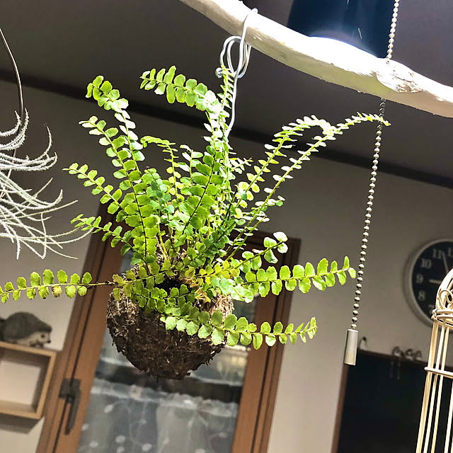 CoffeeHouseさんの部屋