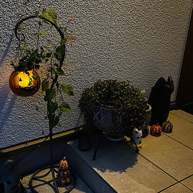Maruさんの部屋