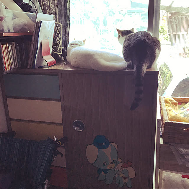 moroyaさんの実例写真