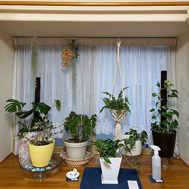 kakoさんの実例写真
