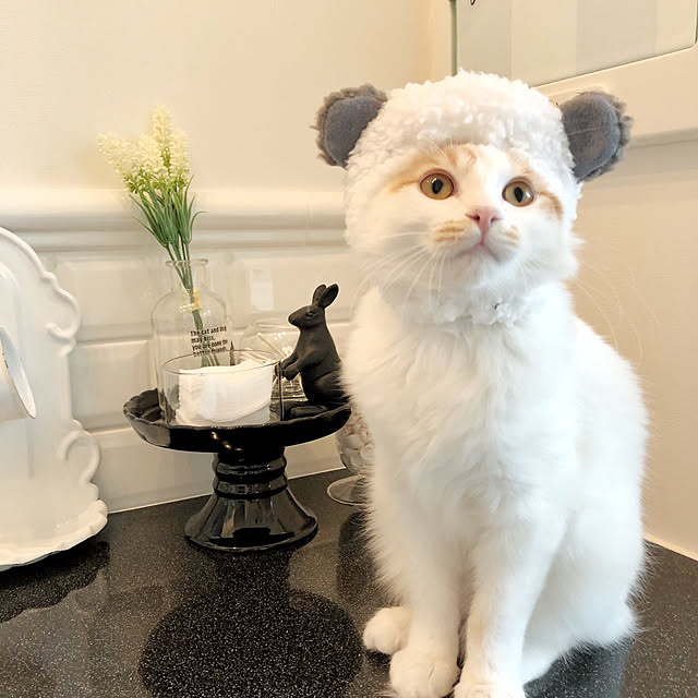 yuchiさんの実例写真