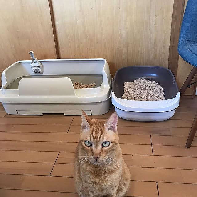 kou-kitiさんの実例写真