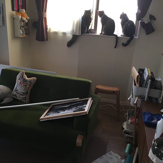 mikomaruさんの実例写真