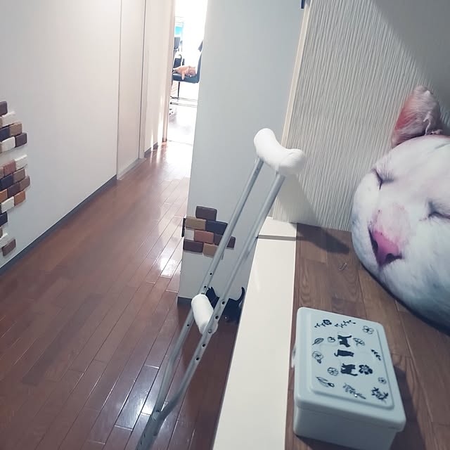 NOAHさんの実例写真