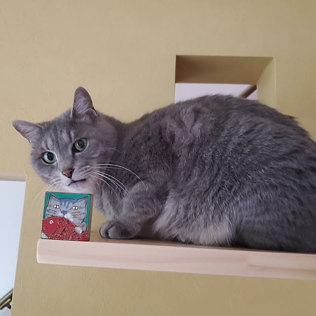 hiroさんの実例写真