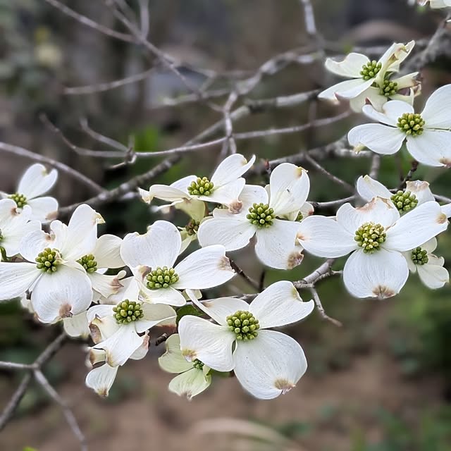 ot-gardenさんの部屋