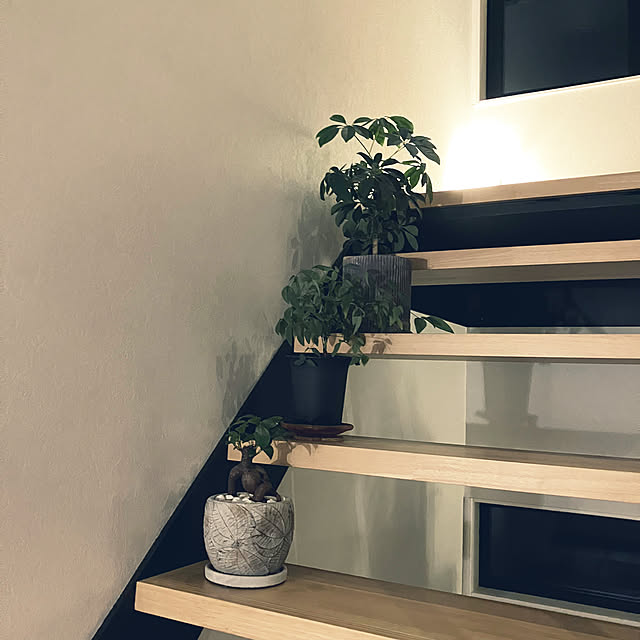 bnbさんの部屋