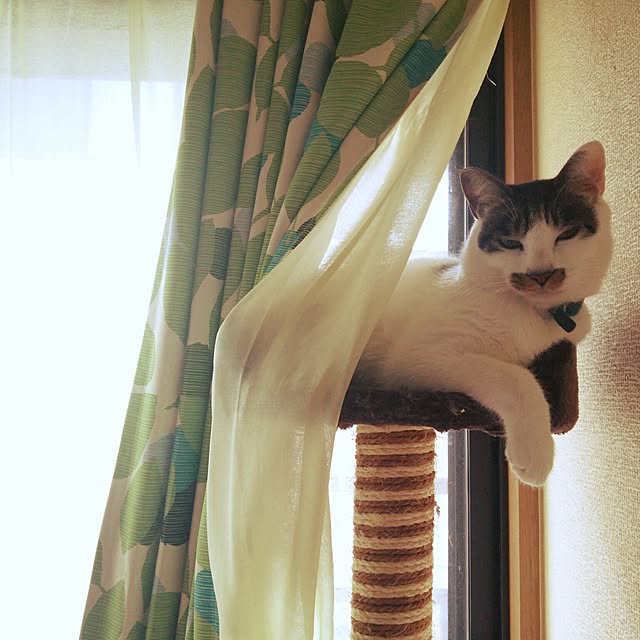 tenさんの実例写真
