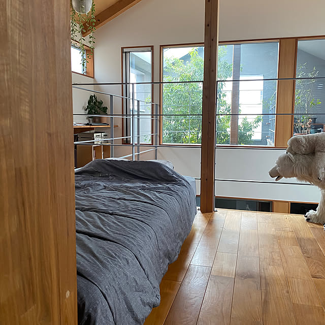 sznoieさんの実例写真