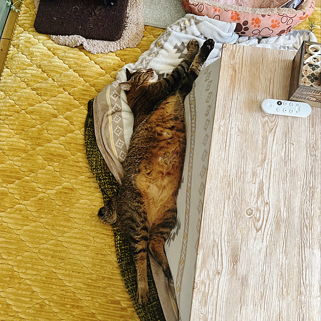 sumoanzuさんの実例写真