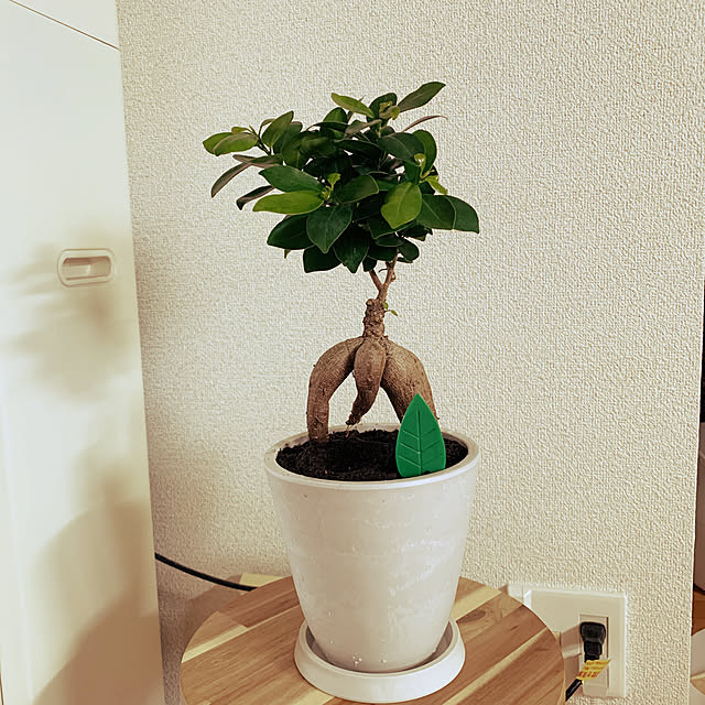 29Makiさんの実例写真