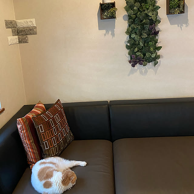 kaorinさんの実例写真