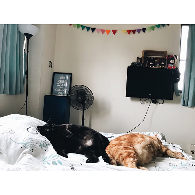 Meowdiさんの実例写真
